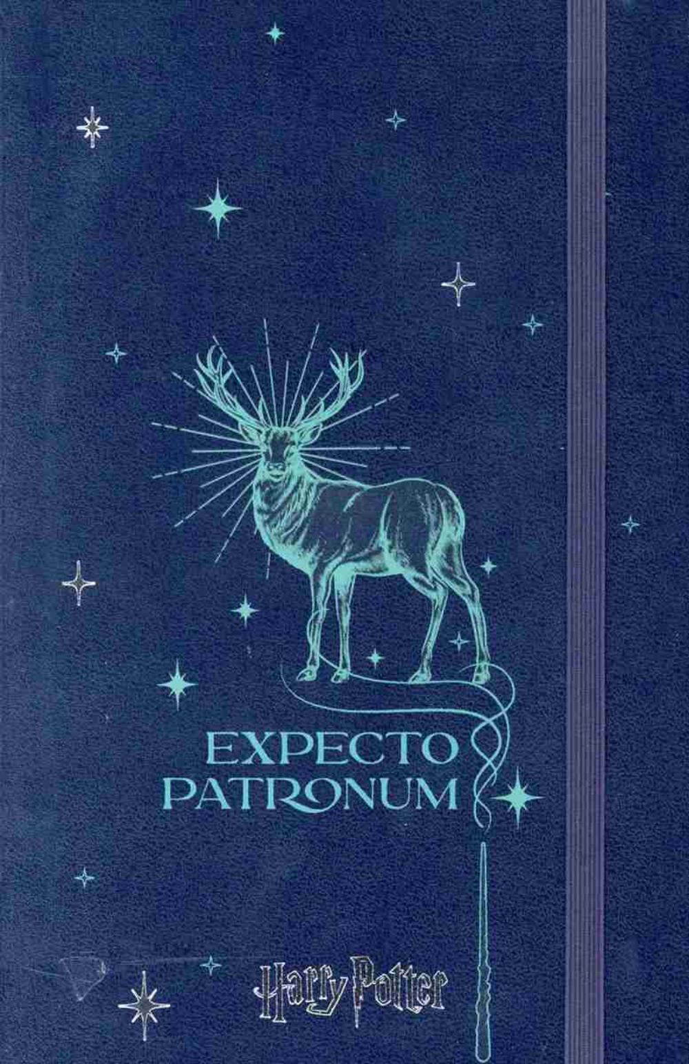 HARRY POTTER PATRONUM NOTEBOOK LARGE RULED